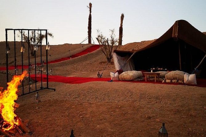 From Marrakech: Magical Dinner In Agafay Desert Under the Stars - The Camp Setup: Lanterns, Tables, and “Social” Seating