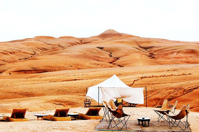 From Marrakech: Magical Dinner In Agafay Desert Under the Stars - Group Size, Privacy, and Photo Potential