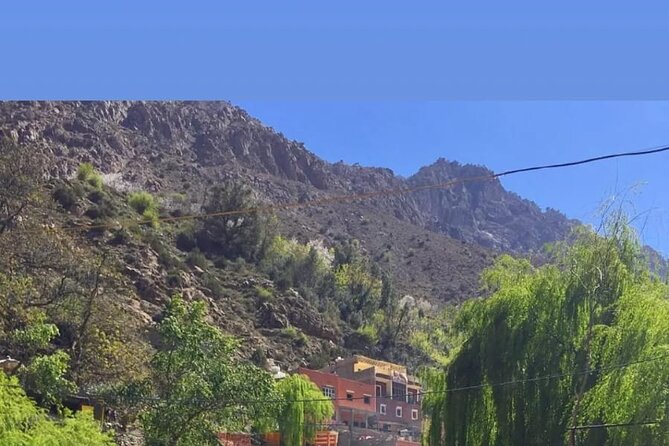 From Marrakech: Ourika Valley, Atlas, Waterfalls & Guide - The drive to the High Atlas: viewpoints and Argan oil cooperative learning