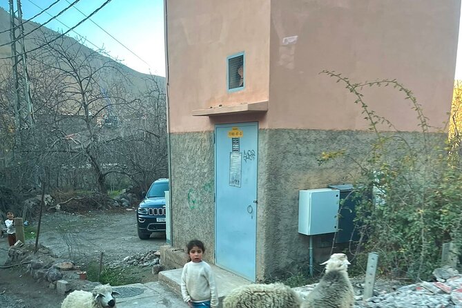 From Marrakech: Ourika Valley, Atlas, Waterfalls & Guide - Berber house visit: asking questions and learning daily routines