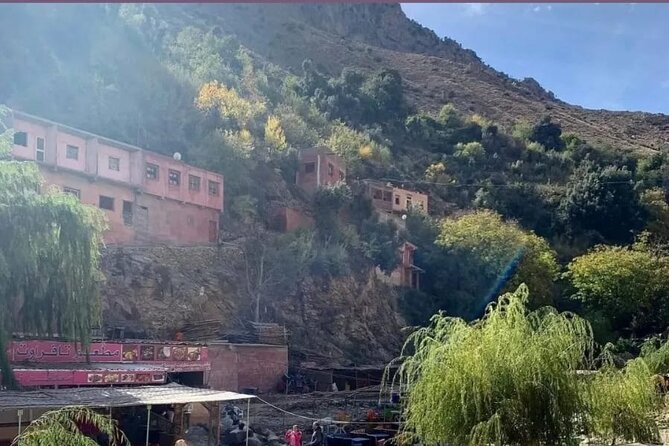 From Marrakech: Ourika Valley, Atlas, Waterfalls & Guide - Starting at 9:00: pickup at Café de France and returning there