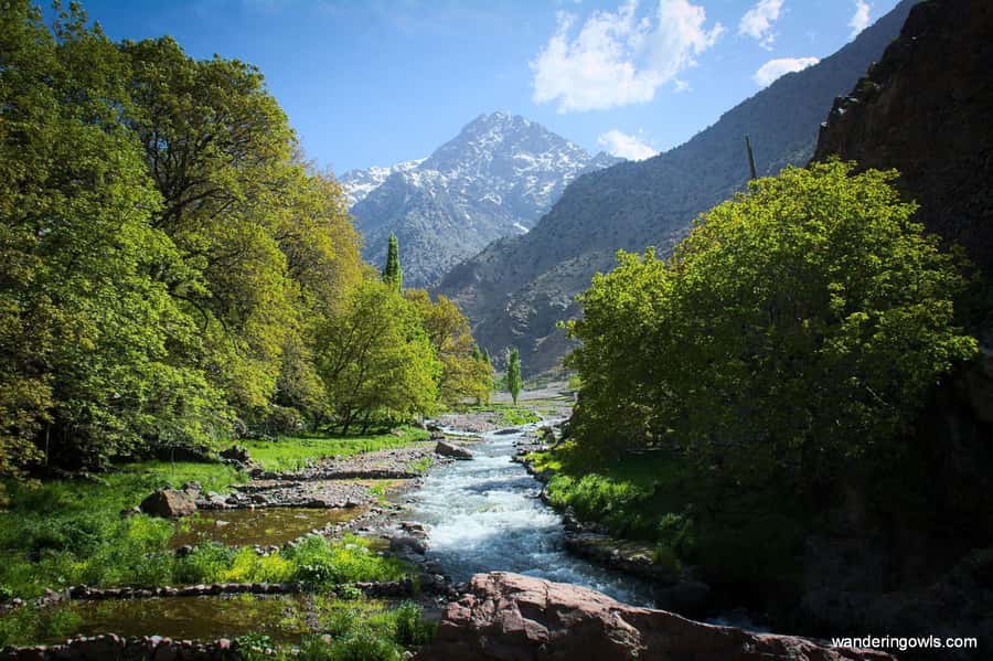 From Marrakech: Ourika Valley Day Trip with Lunch - Road Trip From Marrakech: Private Comfort Into the High Atlas
