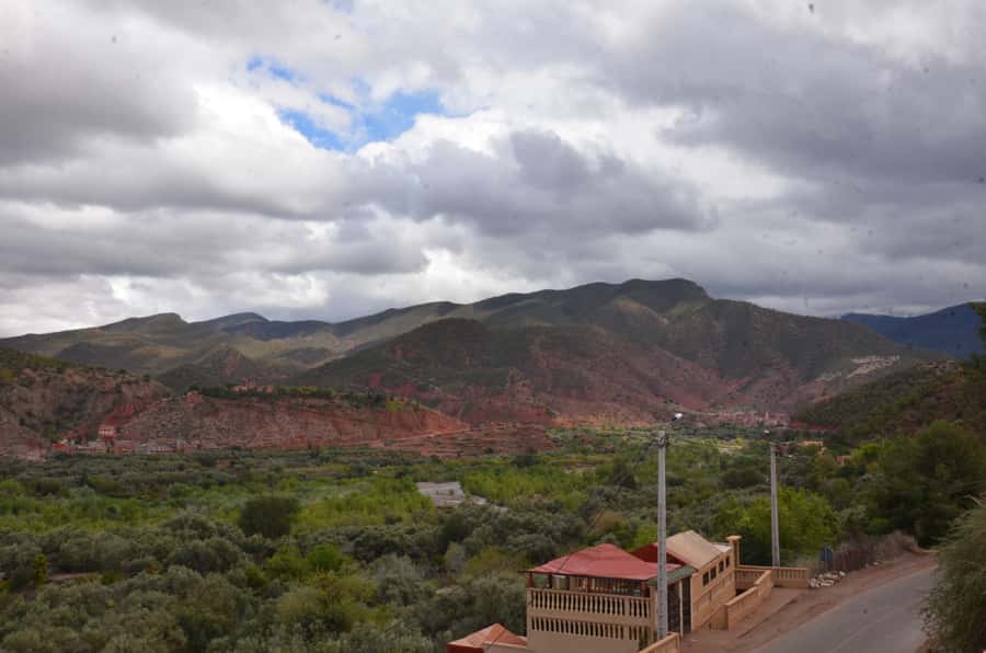 From Marrakech: Ourika Valley Day Trip with Lunch - Price and Value: Why $25 Can Feel Like a Deal