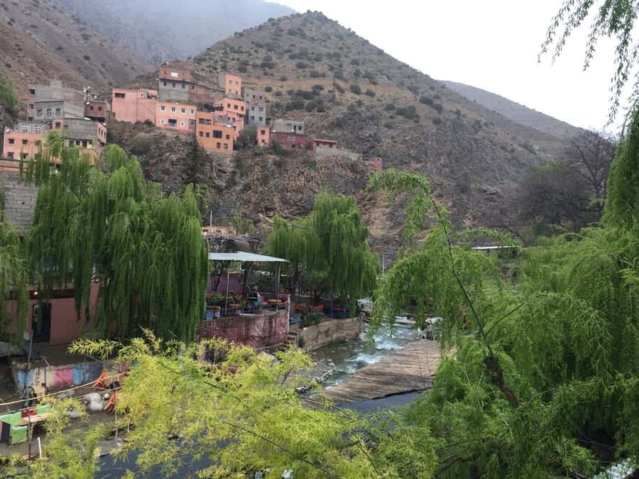 From Marrakech: Ourika Valley Day Trip with Lunch - Who Should Book This Ourika Valley Day Trip (and Who Should Skip It)