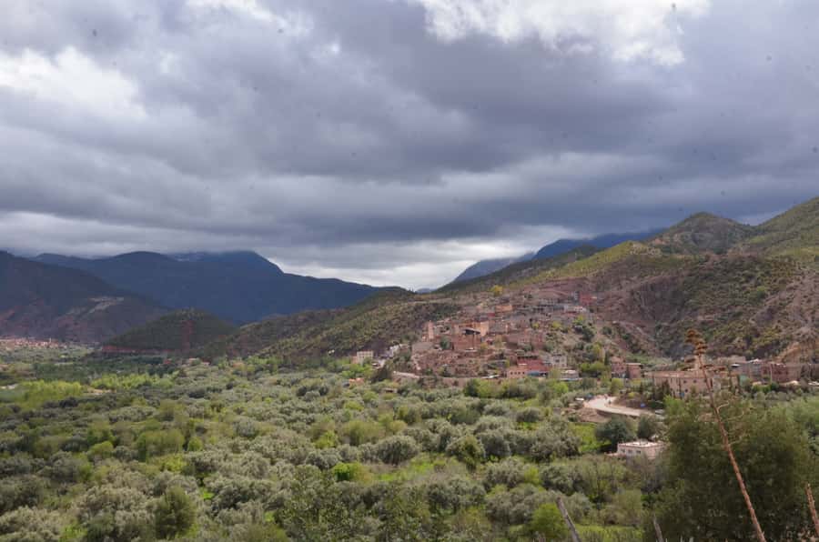 From Marrakech: Ourika Valley Day Trip with Lunch - Should You Book It?