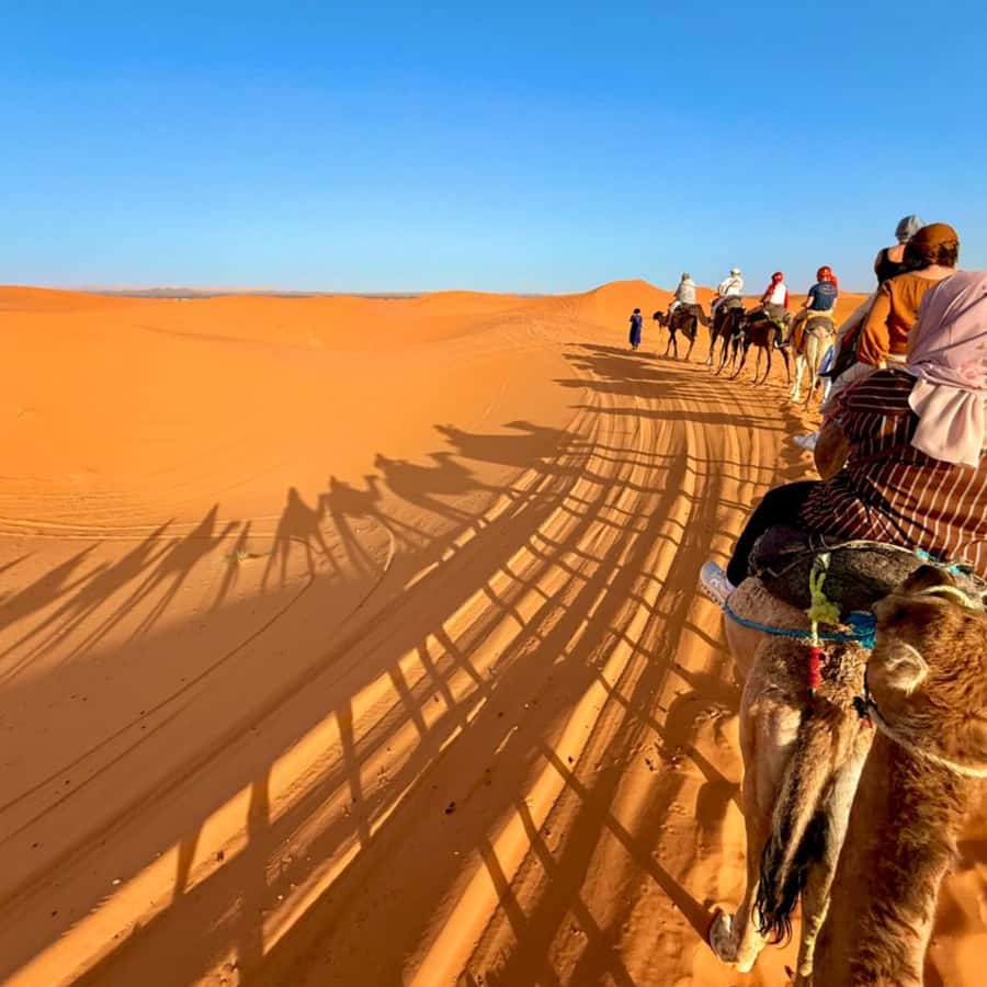 From Marrakech: Ourika Valley & Waterfalls with Lunch - Guide Style and Stop-by-Stop Expectations (So You’re Not Surprised)