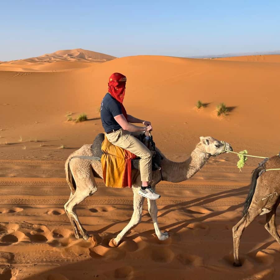 From Marrakech: Ourika Valley & Waterfalls with Lunch - Berber House Visit and Mint Tea: Culture That Isn’t Just a Photo Stop