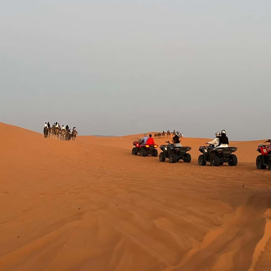 From Marrakech: Ourika Valley & Waterfalls with Lunch - Riverside Lunch in Traditional Restaurants: Simple, Scenic, and Practical