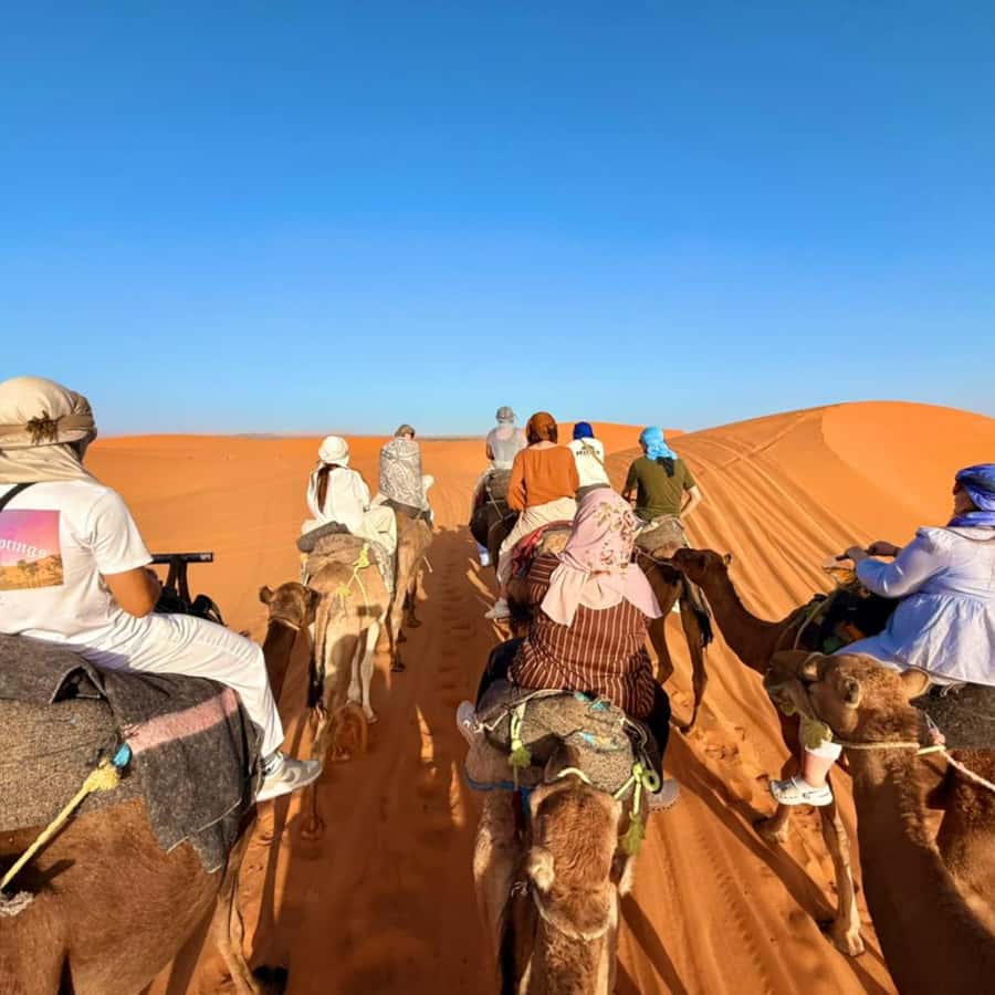 From Marrakech: Ourika Valley & Waterfalls with Lunch - Women’s Argan Oil Cooperative: The Stop That Gives the Day Meaning