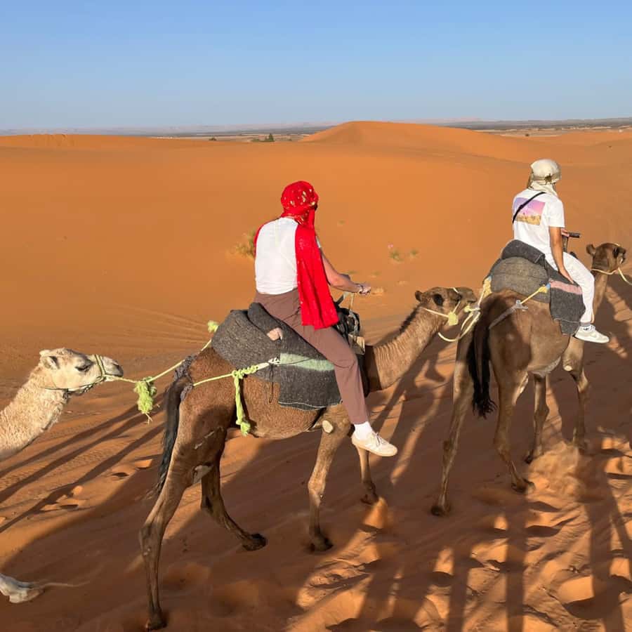 From Marrakech: Ourika Valley & Waterfalls with Lunch - Timing and Return to Marrakech: The One Detail I Would Not Ignore