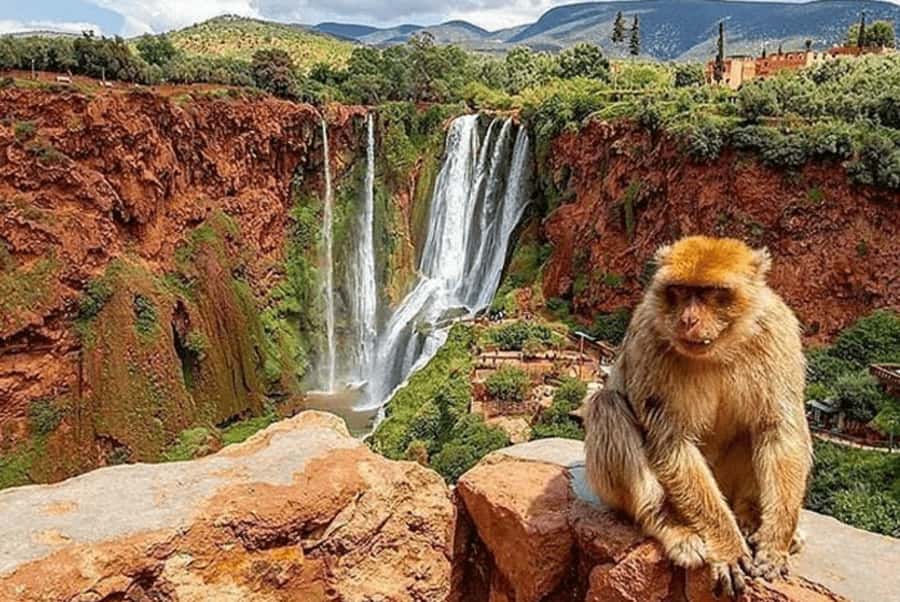 From Marrakech: Ouzoud Waterfall Local guide & Boat Ride - Guides who make Ouzoud feel personal (not mass-tourish)