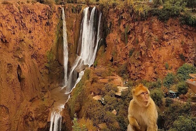 From Marrakech: Ouzoud Waterfalls Guided Hike and Boat Trip - Lunch Near the Viewpoint: Convenient, But Check the Value