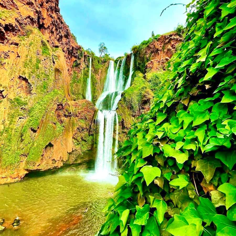 From Marrakech: Ouzoud Waterfalls Guided hike & boat Ride - Berber Culture Along the Route: argan oil and what you’re really learning