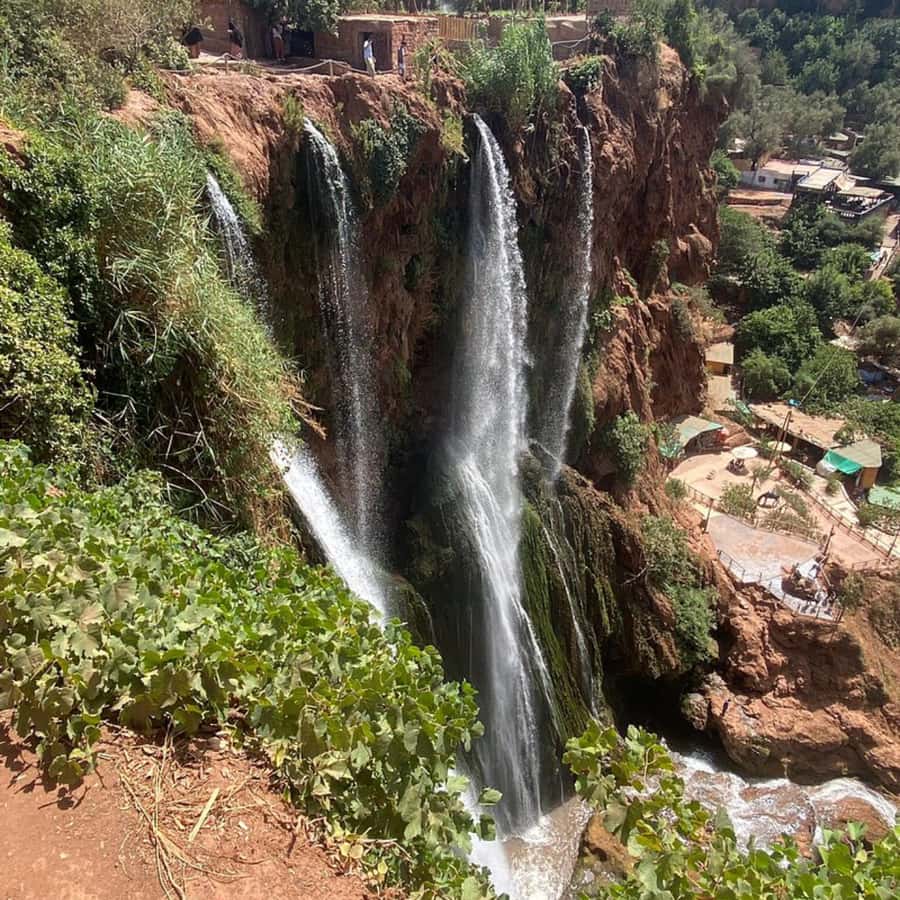 From Marrakech: Ouzoud Waterfalls Guided Tour and Boat Ride - Monkeys, birds, and the real waterfall rhythm