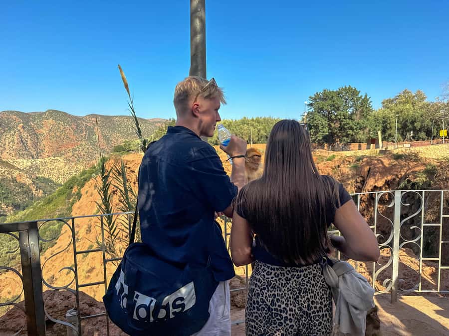 From Marrakech: Ouzoud Waterfalls guided trip with boat ride - The Long Drive, Then the Moment the Falls Appear