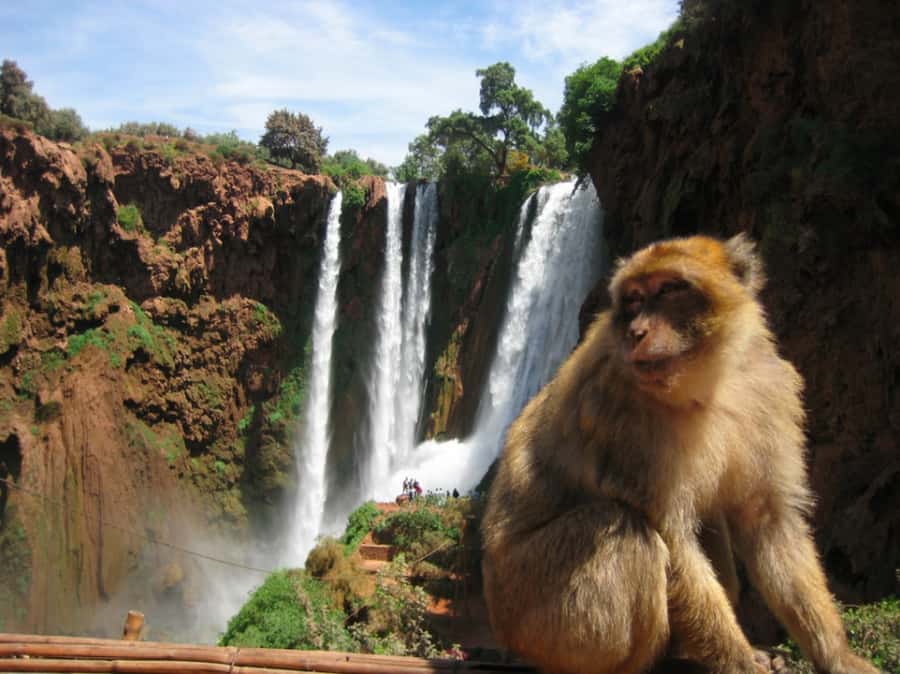 From Marrakech: Ouzoud Waterfalls Local Guided and Boat Ride - Marrakech to Ouzoud: the drive, the breaks, and staying sane