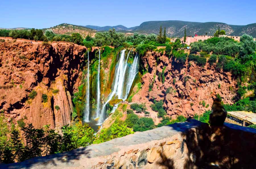 From Marrakech: Ouzoud Waterfalls Local Guided and Boat Ride - Guided walk at the falls: where the guide earns their fee