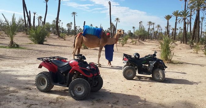 From Marrakech: Palm Grove Quad Bike and Camel Ride Tour - Key things to know before you go