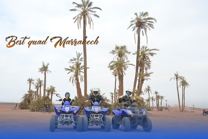 From Marrakech: Palm Grove Quad Bike and Camel Ride Tour - The tea stop in a traditional bivouac: why this break matters