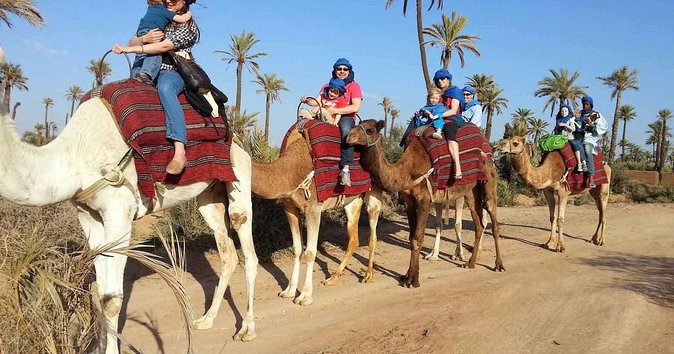From Marrakech: Palm Grove Quad Bike and Camel Ride Tour - Price and logistics (about $52.14 and what’s included)