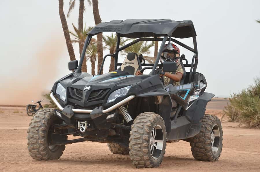 From Marrakech: Palm Grove Quad Bike Tour with Mint Tea - Key Points You’ll Care About