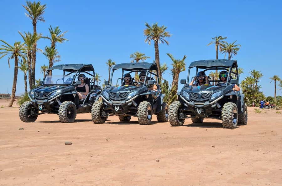 From Marrakech: Palm Grove Quad Bike Tour with Mint Tea - Two Hours of Dunes and Palm Grove Driving