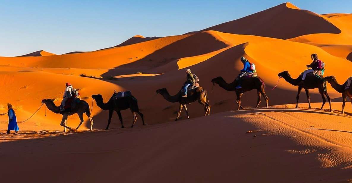 From Marrakech: Private 3-Day Desert Trip to Merzouga - Key things I’d circle before you book