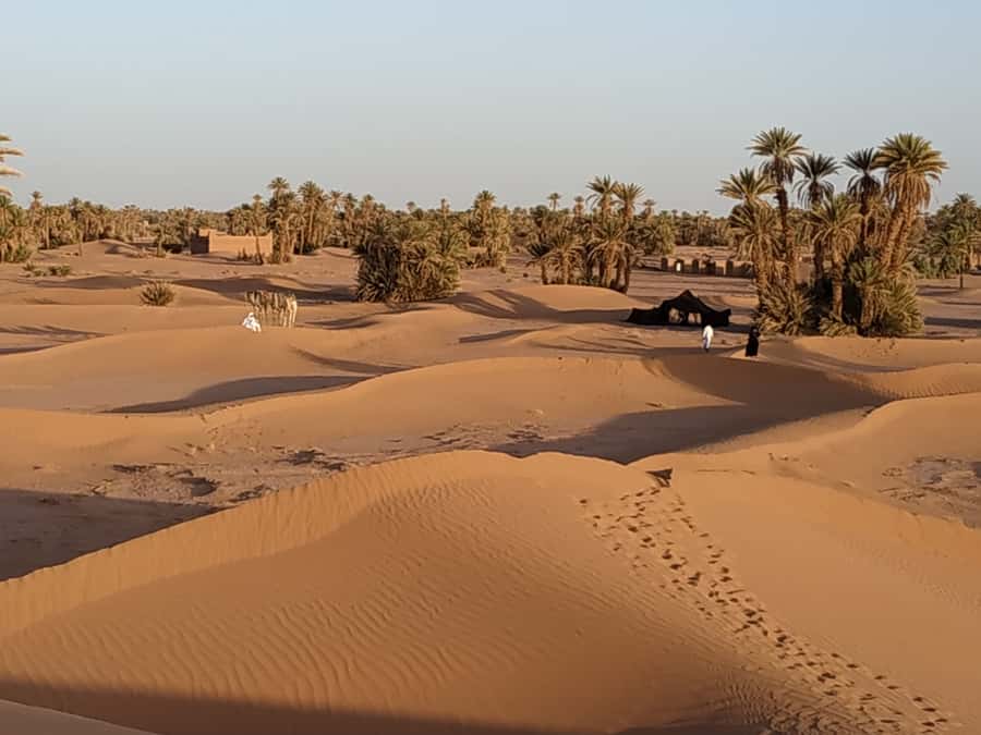 From Marrakech: Private Chegaga Desert Star Gazing 4WD Tour - Star gazing night: making the sky part of the experience