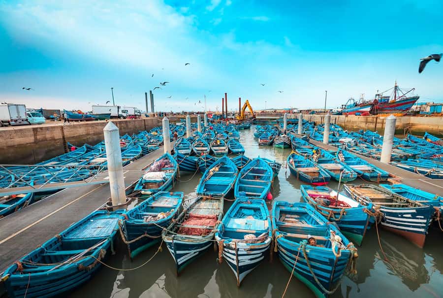 From Marrakech: Private Full-Day Essaouira Tour - Timing for Real Local Moments: Place Joutiya and Beach Walking