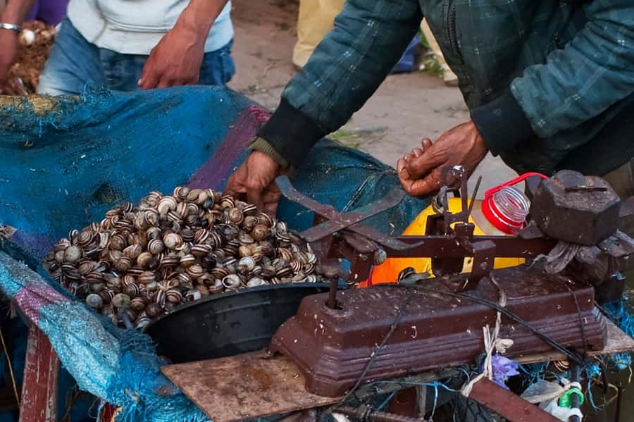 From Marrakech: Private Full-Day Essaouira Tour - Optional Side Quests If You Have Extra Time