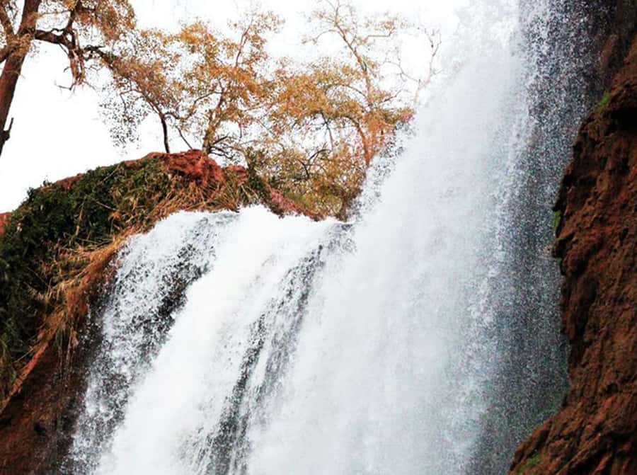 From Marrakech: Private Ouzoud Falls & Boat Ride Day Trip - Who this private Ouzoud day trip fits best