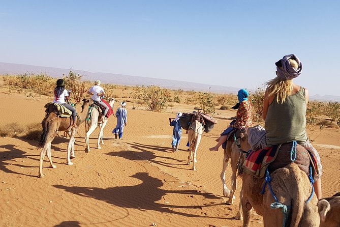 From Marrakech: Private Tour to Oasis and Trekking in the Desert of Erg Chigaga - Day 3: Erg Chigaga Sunrise, Tamarind Shade Lunch, and Camel Time