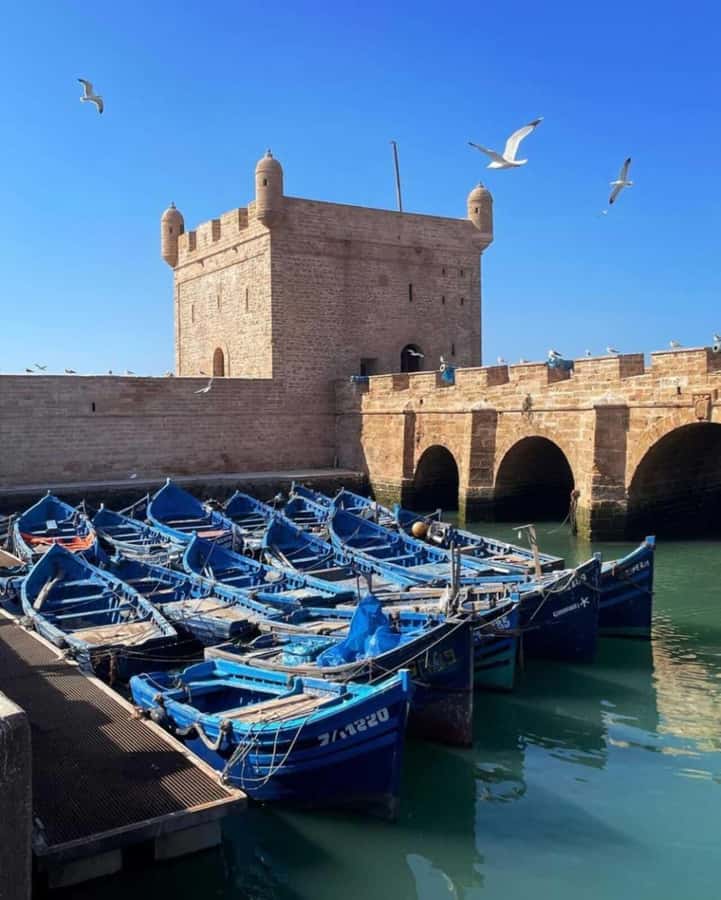 From Marrakech: small group Day Trip To Essaouira Mogador - Key things I’d circle before you go