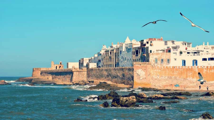 From Marrakech: small group Day Trip To Essaouira Mogador - Music and art stops: how to use your time wisely in town