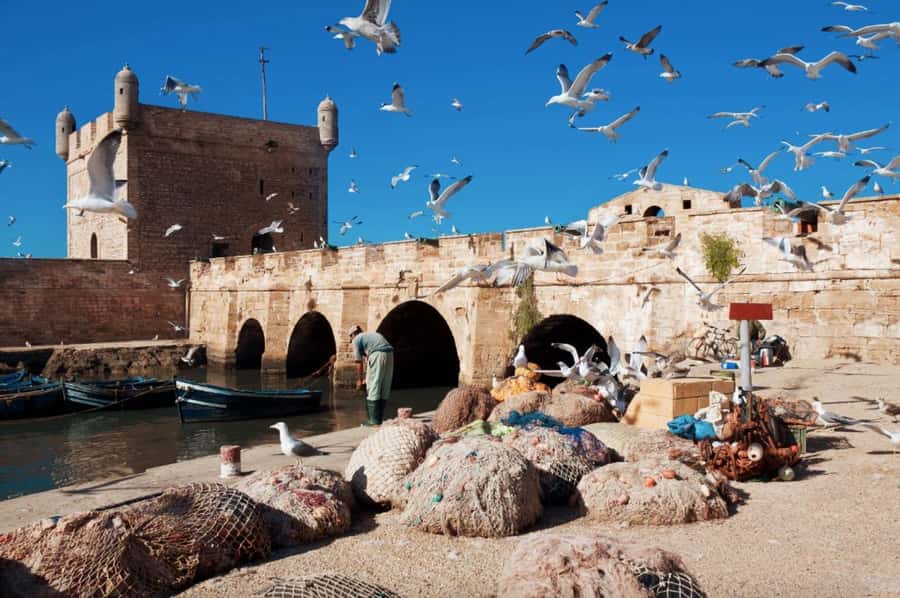 From Marrakech: small group Day Trip To Essaouira Mogador - Why this Essaouira day trip works so well from Marrakech