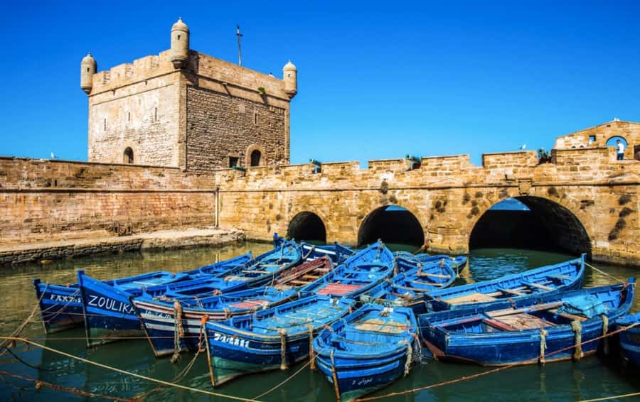 From Marrakech: small group Day Trip To Essaouira Mogador - Essaouira arrival: how you’ll use your 4 hours