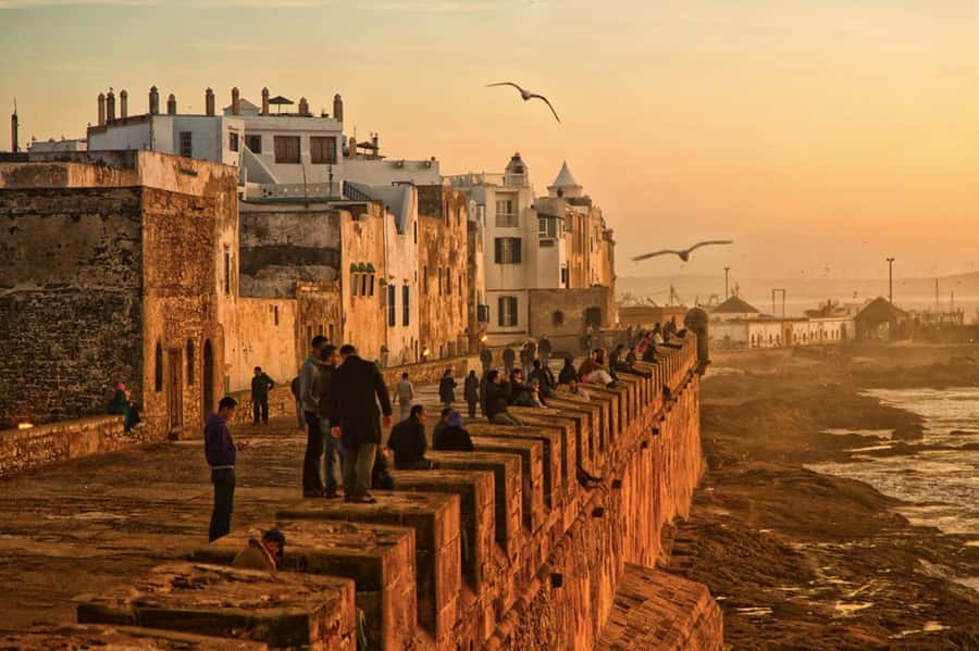 From Marrakech: small group Day Trip To Essaouira Mogador - Harbor boats, Atlantic breezes, and seaside downtime