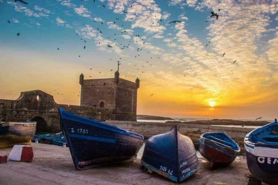 From Marrakech: small group Day Trip To Essaouira Mogador - Getting there: van timing, break stops, and what it feels like