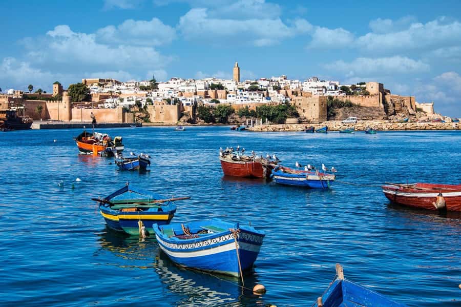 From Marrakech: Small Group To Essaouira & Medina Day Trip - Key highlights at a glance
