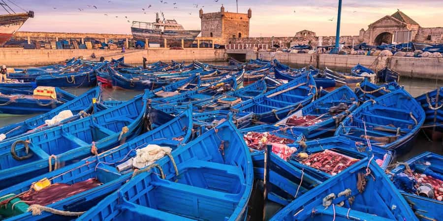 From Marrakech: Small Group To Essaouira & Medina Day Trip - Why Essaouira feels like a coastal reset from Marrakech