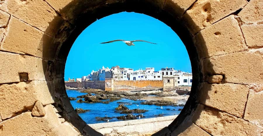 From Marrakech: Small Group To Essaouira & Medina Day Trip - Fishing port seafood lunch: how to eat well without guesswork