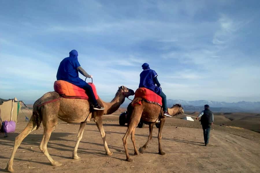 From Marrakech: Sunset Camel Ride in the Agafay Desert - Key Highlights You’ll Care About