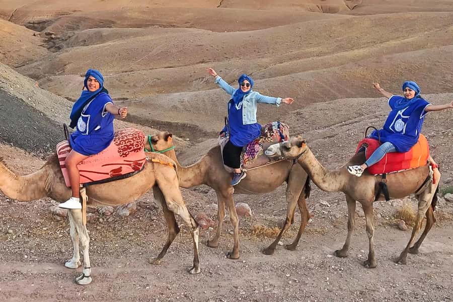 From Marrakech: Sunset Camel Ride in the Agafay Desert - Who This Tour Is Best For