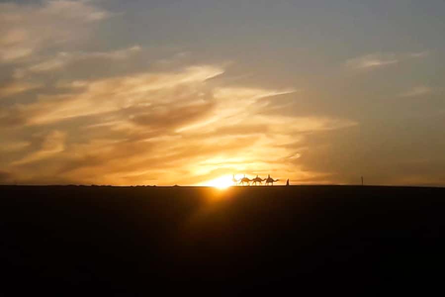 From Marrakech: Sunset Camel Ride in the Agafay Desert - Agafay Sunset Camel Ride: What Makes It Special