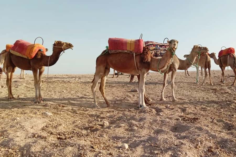 From Marrakech: Sunset Camel Ride in the Agafay Desert - Marrakech Pickup and the Drive Toward the Atlas Country