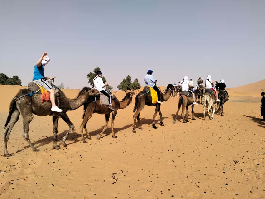 From Marrakech to Agadir : 4-Day Sahara Desert Tour - Key highlights worth planning for