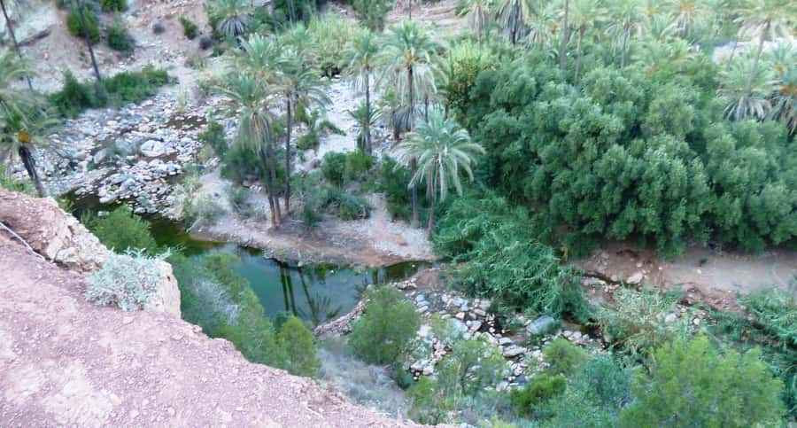 From Marrakech to Agadir Private Day Trip with Lunch - Argan Oil House: why this stop is more than a shop