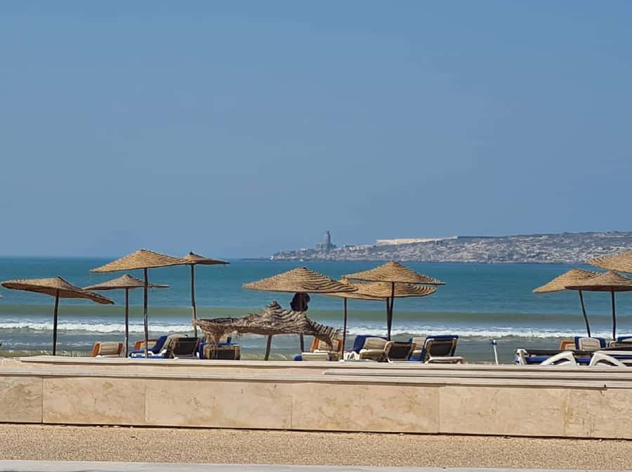 From Marrakech to Essaouira coast day tour - Seafood lunch on a terrace: great choice, but you pay extra