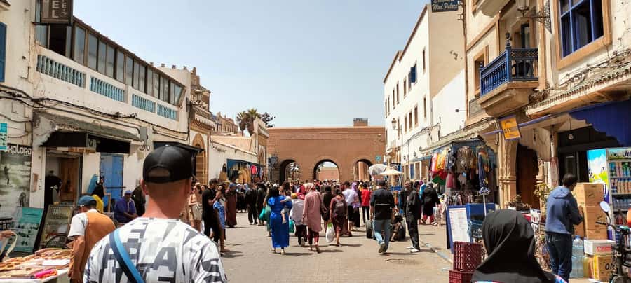 From Marrakech to Essaouira coast day tour - Comfort and logistics: minivan vs bus, and what to expect on the road
