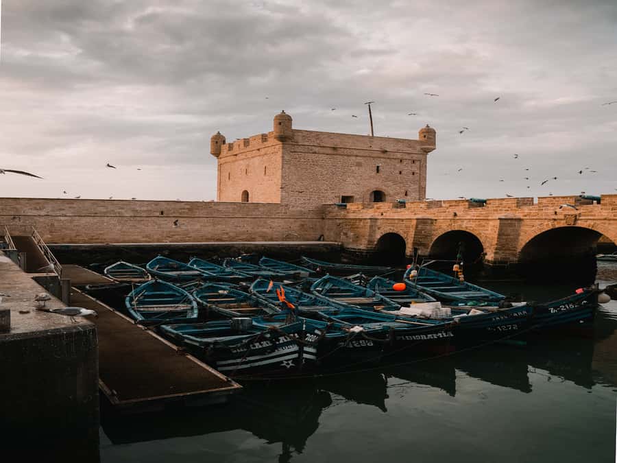 From Marrakech to Essaouira coast day tour - Argan oil at a women’s cooperative: what to watch for